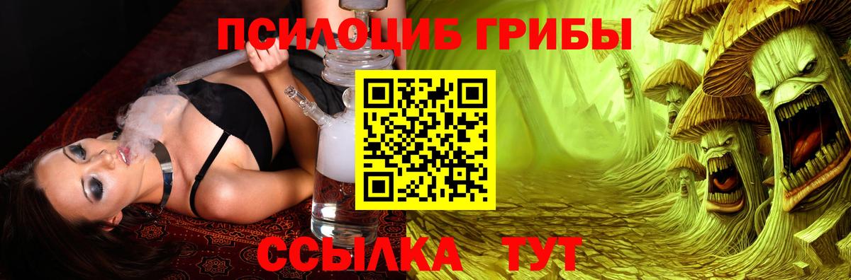 Псилоцибиновые грибы Magic Shrooms  Галлюциногенные грибы Cubensis  Великий Новгород  Вход с VPN 