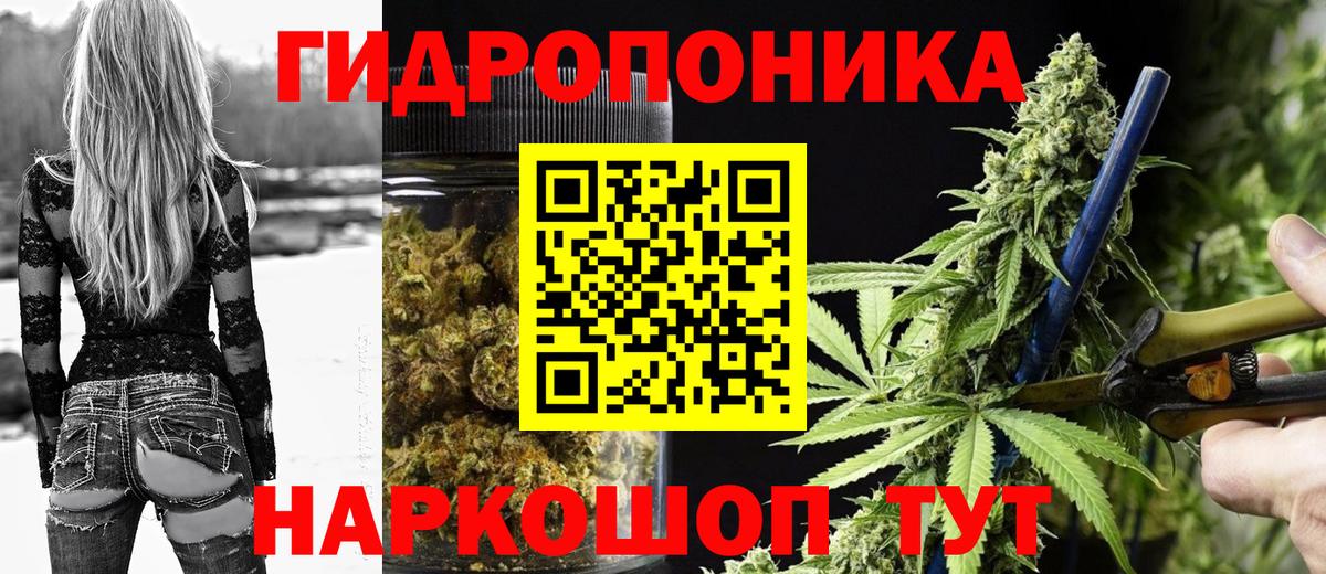 Бошки Шишки AK-47  Конопля Amnesia  Великий Новгород  Канабис ГИДРОПОН  Канабис планчик  Вход с VPN 